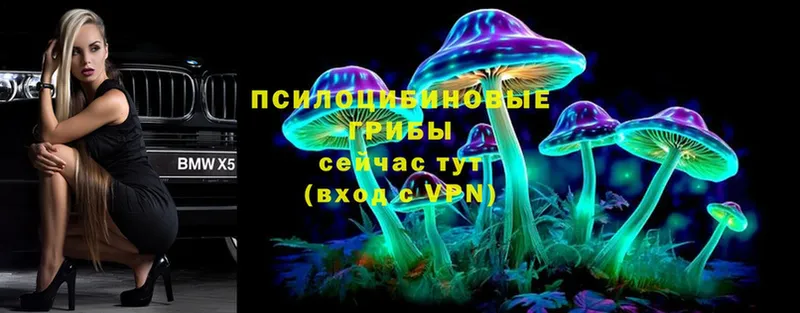 Псилоцибиновые грибы Psilocybe  Неман 